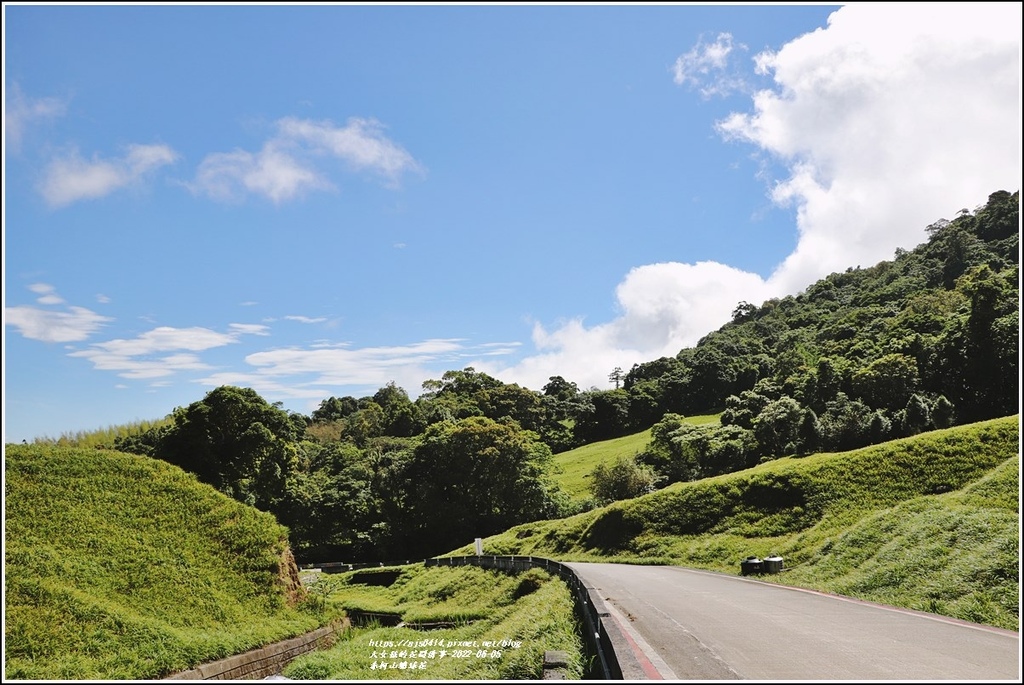 赤柯山繡球花-2022-06-40.jpg