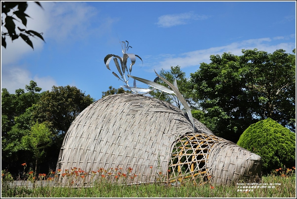 赤柯山繡球花-2022-06-43.jpg 赤柯山繡球花-2022-06-43.jpg