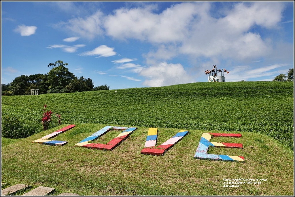 赤柯山繡球花-2022-06-60.jpg 赤柯山繡球花-2022-06-60.jpg