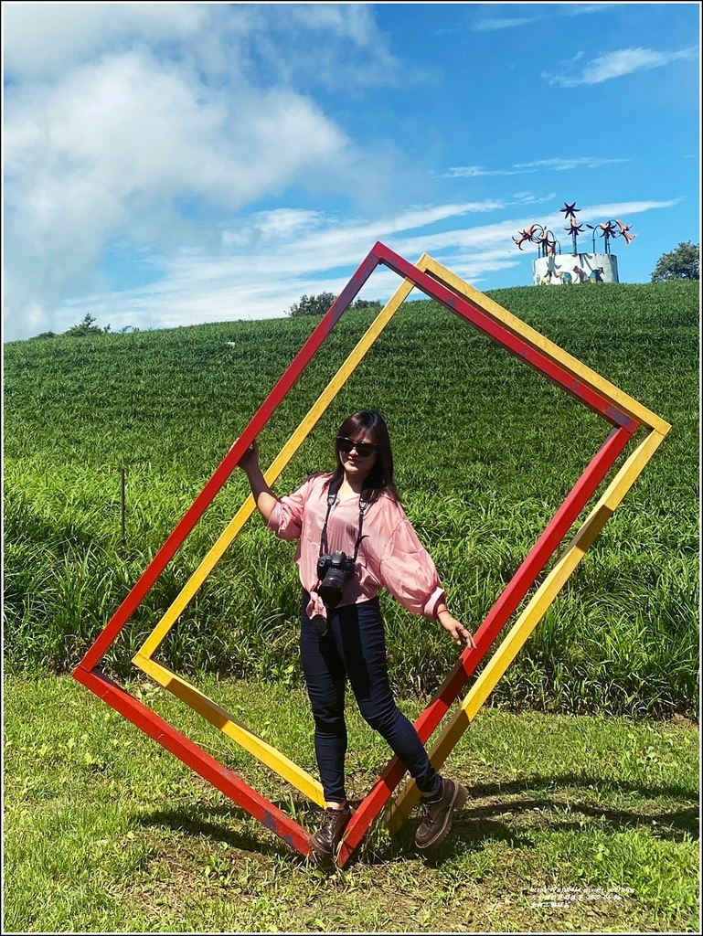 赤柯山繡球花-2022-06-62.jpg 赤柯山繡球花-2022-06-62.jpg