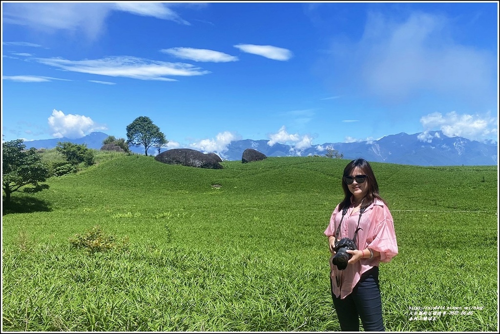 赤柯山繡球花-2022-06-65.jpg 赤柯山繡球花-2022-06-65.jpg