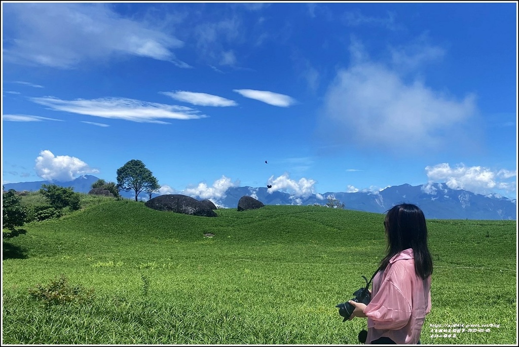 赤柯山繡球花-2022-06-64.jpg 赤柯山繡球花-2022-06-64.jpg