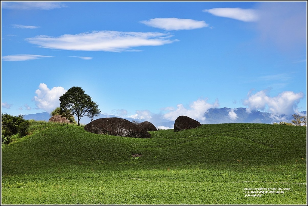 赤柯山繡球花-2022-06-68.jpg 赤柯山繡球花-2022-06-68.jpg