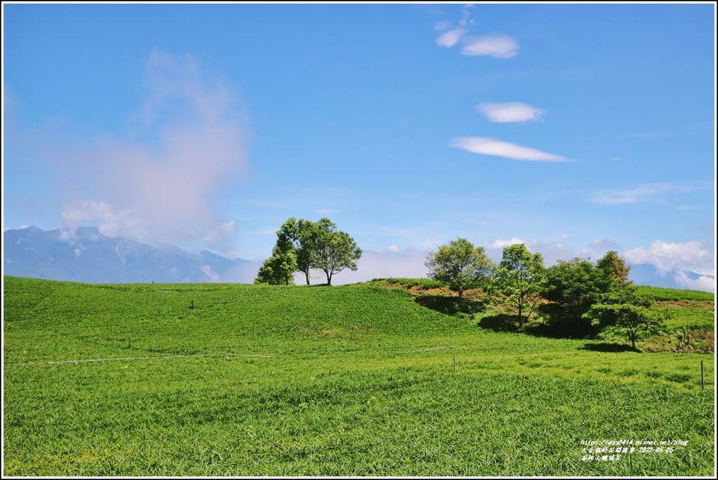 赤柯山繡球花-2022-06-67.jpg 赤柯山繡球花-2022-06-67.jpg