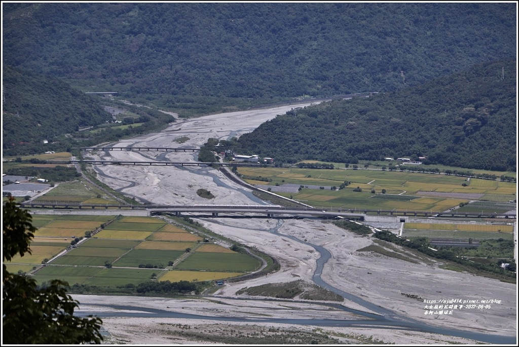 赤柯山繡球花-2022-06-93.jpg 赤柯山繡球花-2022-06-93.jpg