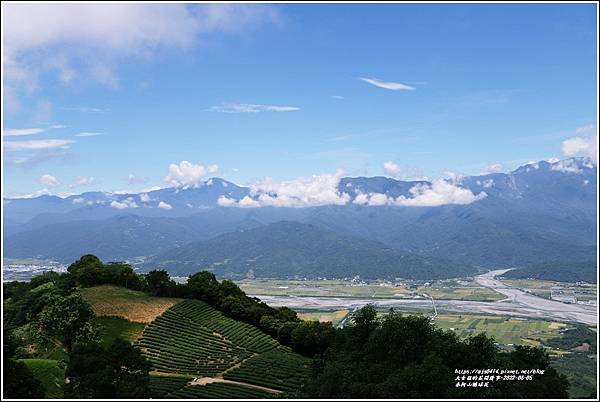 赤柯山繡球花-2022-06-92.jpg