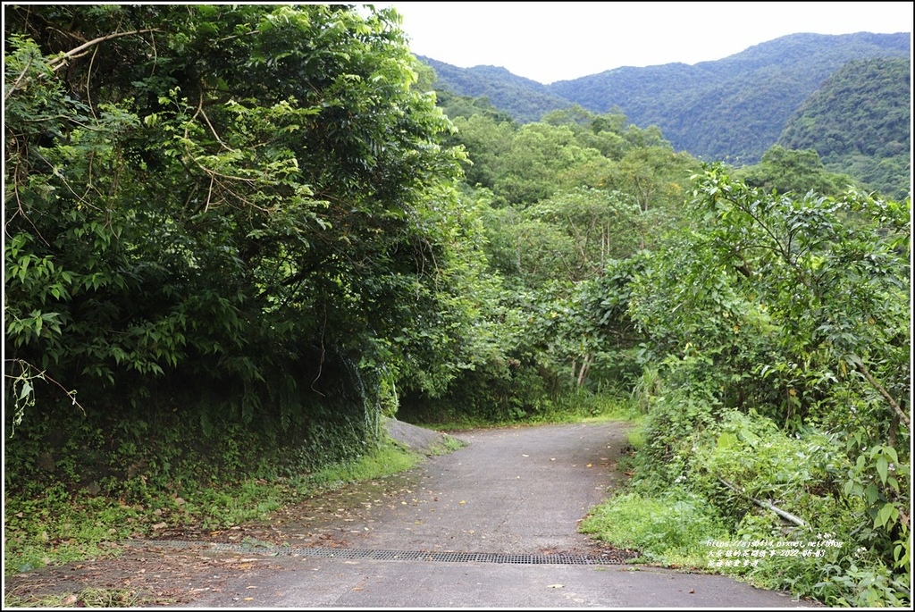 花蓮佐倉步道-2022-06-03.jpg