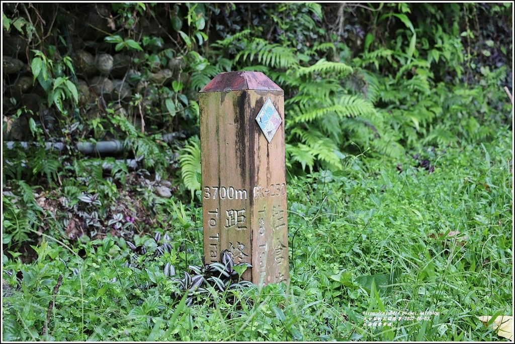 花蓮佐倉步道-2022-06-06.jpg 花蓮佐倉步道-2022-06-06.jpg