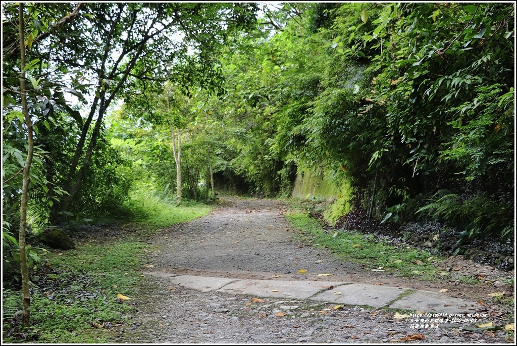 花蓮佐倉步道-2022-06-08.jpg 花蓮佐倉步道-2022-06-08.jpg