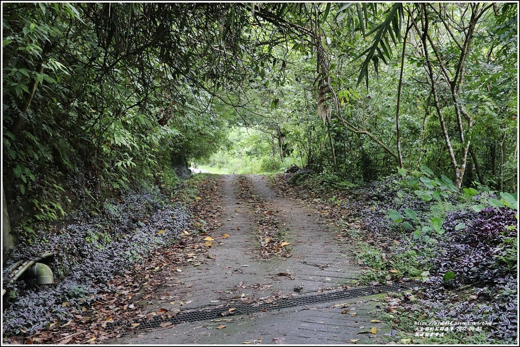 花蓮佐倉步道-2022-06-07.jpg 花蓮佐倉步道-2022-06-07.jpg