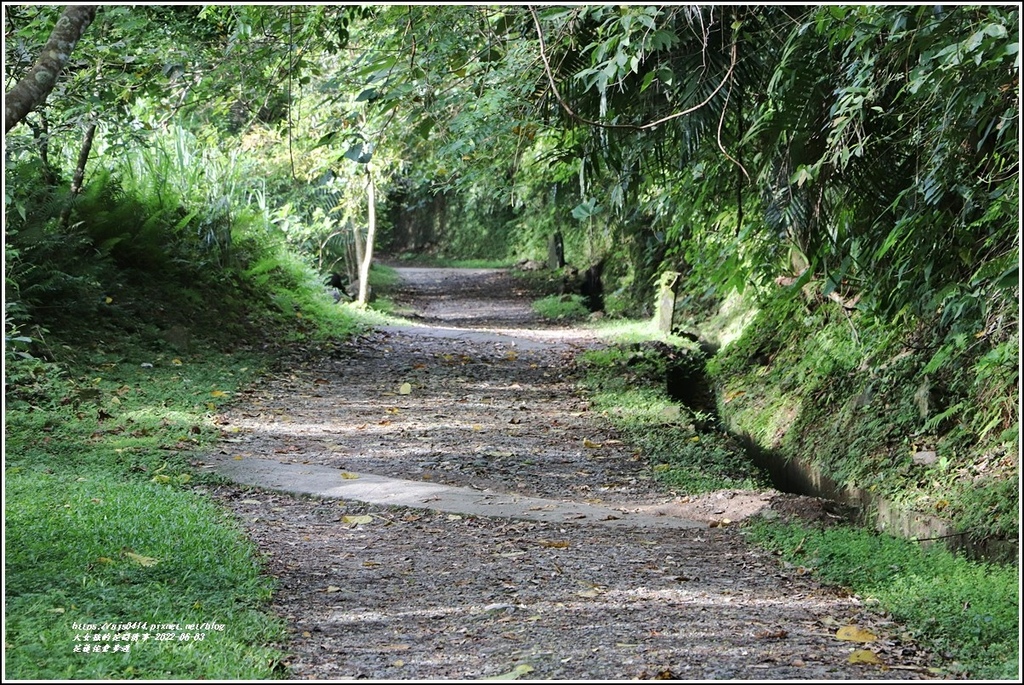 花蓮佐倉步道-2022-06-10.jpg 花蓮佐倉步道-2022-06-10.jpg