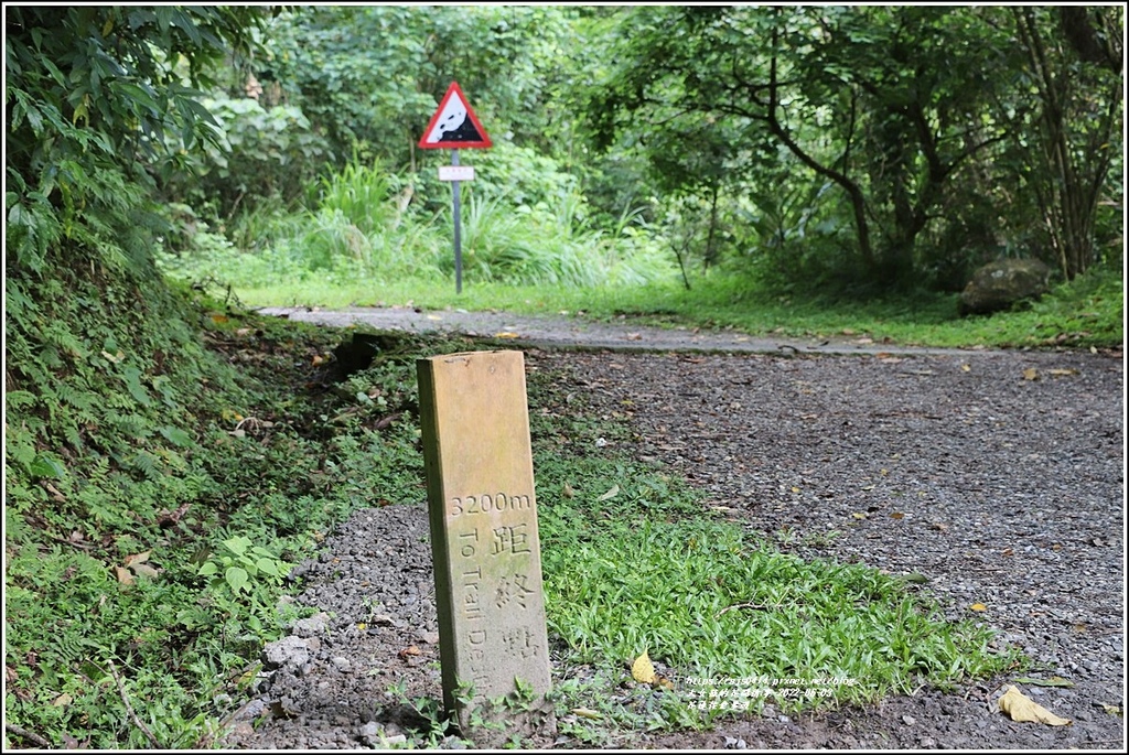 花蓮佐倉步道-2022-06-09.jpg 花蓮佐倉步道-2022-06-09.jpg