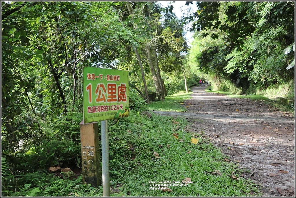 花蓮佐倉步道-2022-06-11.jpg 花蓮佐倉步道-2022-06-11.jpg