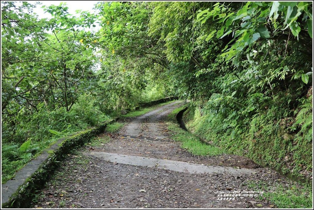 花蓮佐倉步道-2022-06-14.jpg 花蓮佐倉步道-2022-06-14.jpg