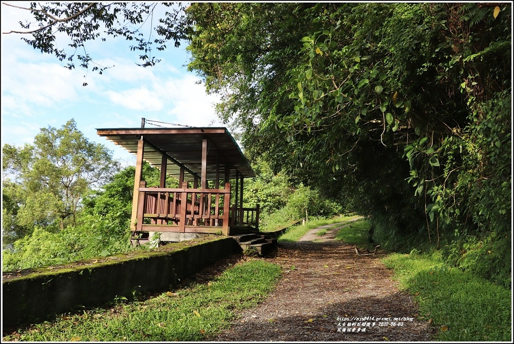 花蓮佐倉步道-2022-06-23.jpg 花蓮佐倉步道-2022-06-23.jpg