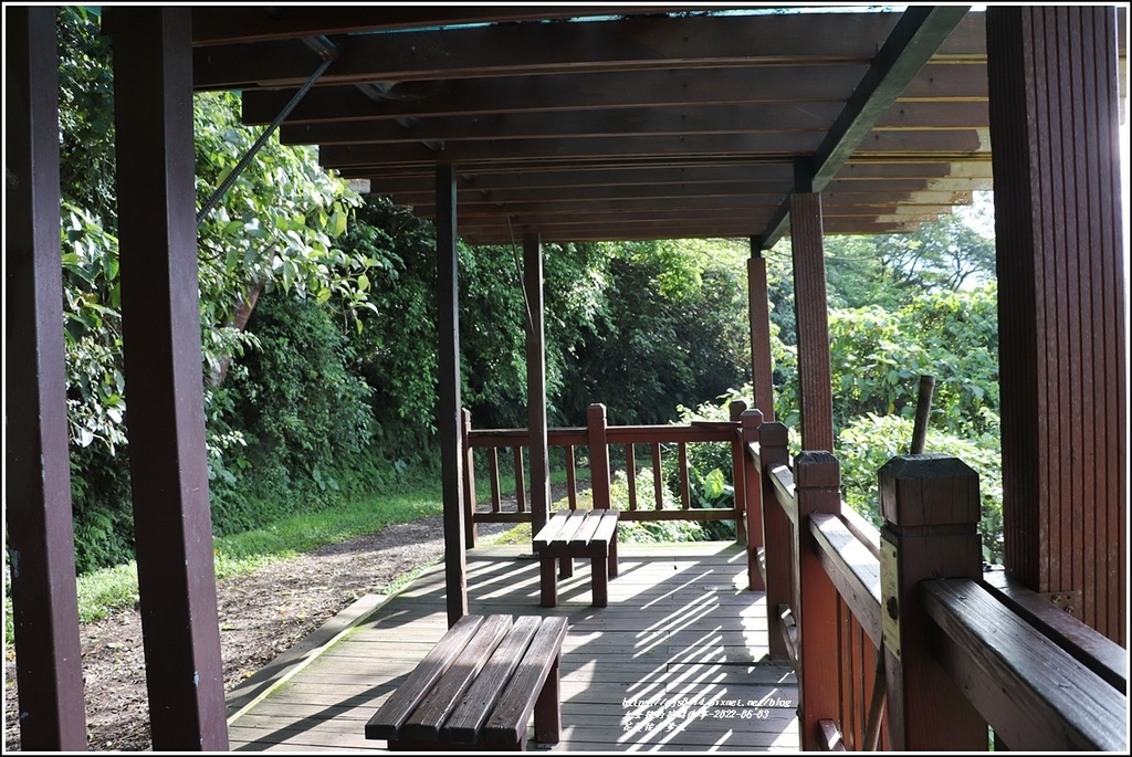 花蓮佐倉步道-2022-06-25.jpg 花蓮佐倉步道-2022-06-25.jpg