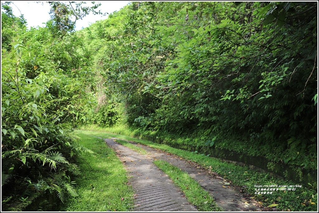 花蓮佐倉步道-2022-06-30.jpg 花蓮佐倉步道-2022-06-30.jpg
