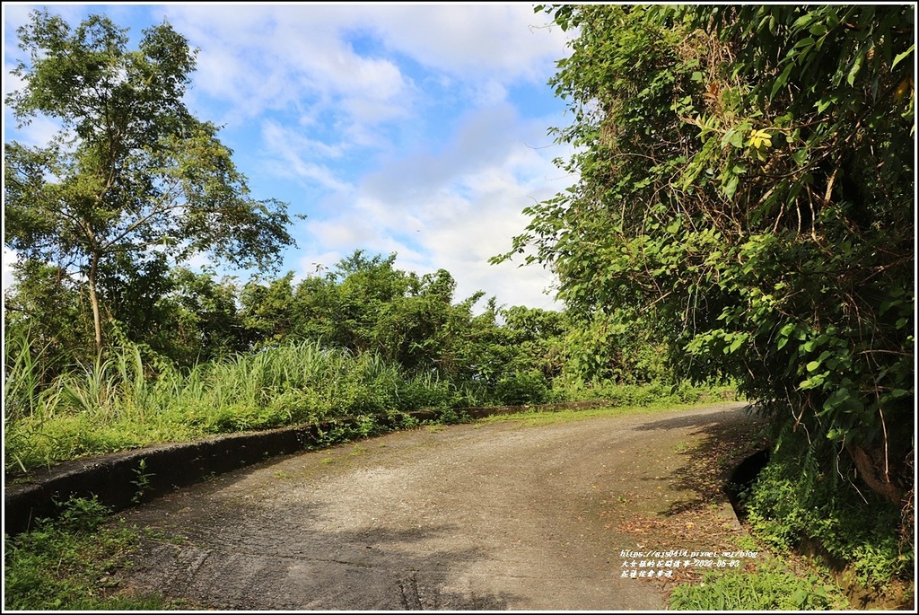 花蓮佐倉步道-2022-06-31.jpg 花蓮佐倉步道-2022-06-31.jpg