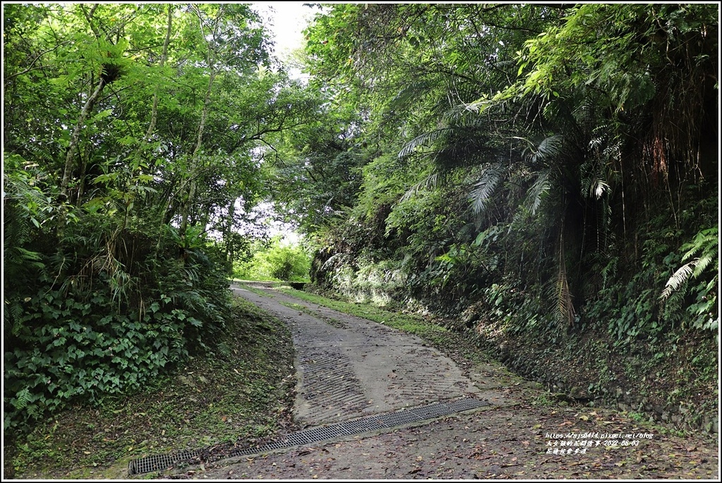 花蓮佐倉步道-2022-06-38.jpg 花蓮佐倉步道-2022-06-38.jpg