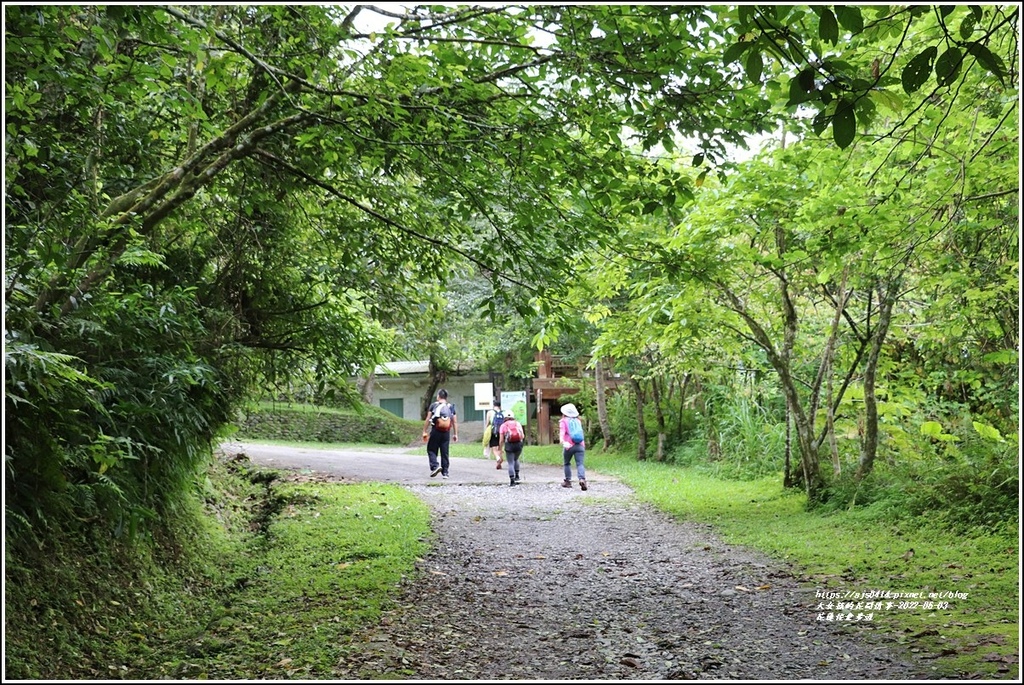 花蓮佐倉步道-2022-06-40.jpg 花蓮佐倉步道-2022-06-40.jpg