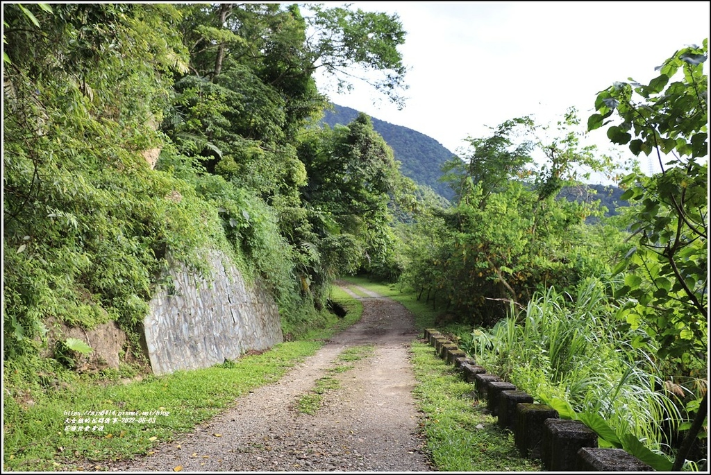 花蓮佐倉步道-2022-06-39.jpg 花蓮佐倉步道-2022-06-39.jpg