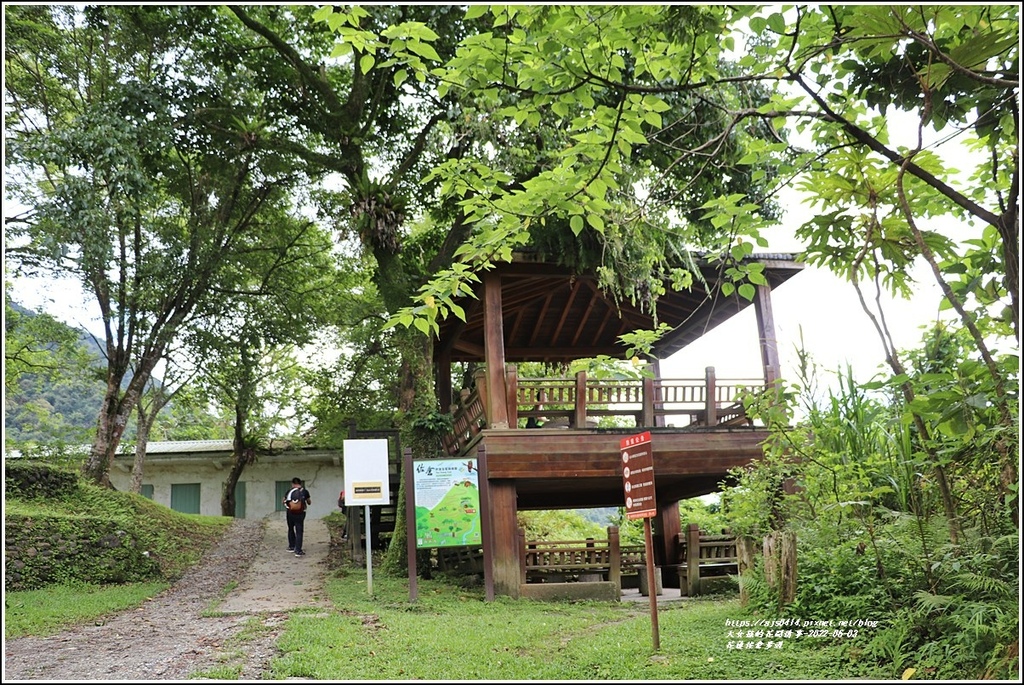 花蓮佐倉步道-2022-06-41.jpg 花蓮佐倉步道-2022-06-41.jpg