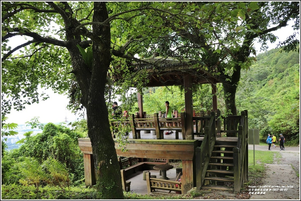 花蓮佐倉步道-2022-06-47.jpg 花蓮佐倉步道-2022-06-47.jpg