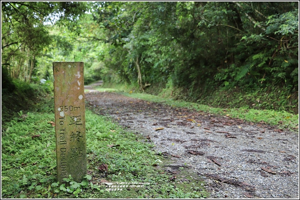 花蓮佐倉步道-2022-06-48.jpg 花蓮佐倉步道-2022-06-48.jpg