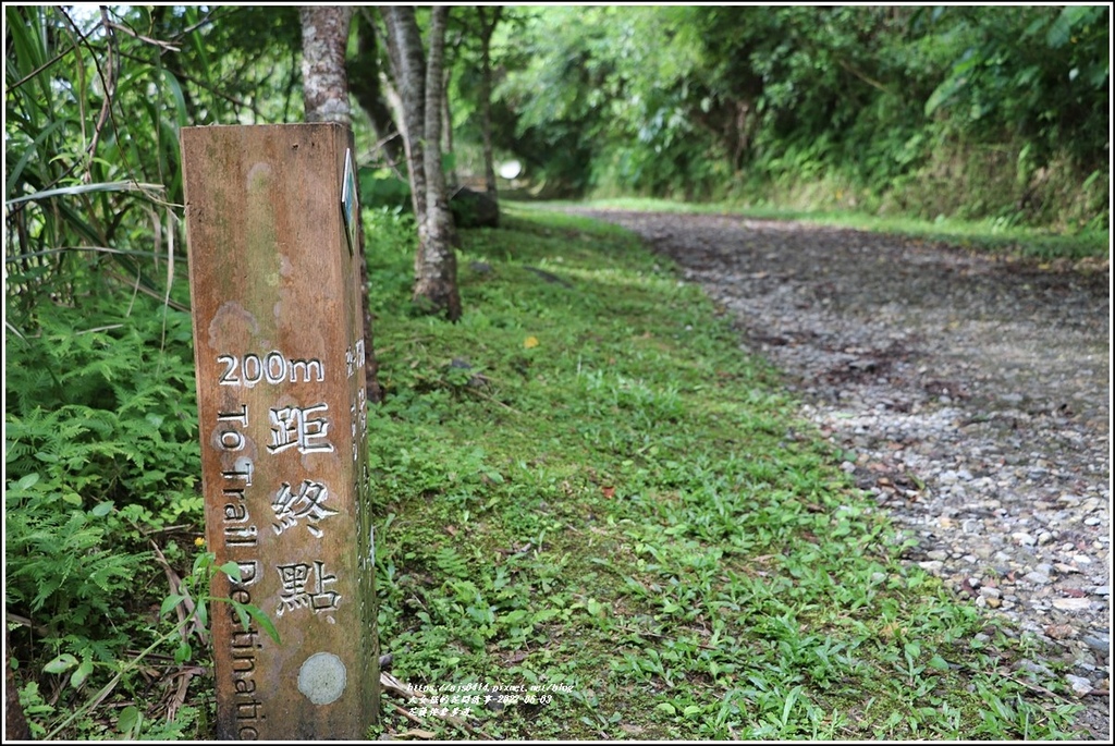 花蓮佐倉步道-2022-06-49.jpg 花蓮佐倉步道-2022-06-49.jpg