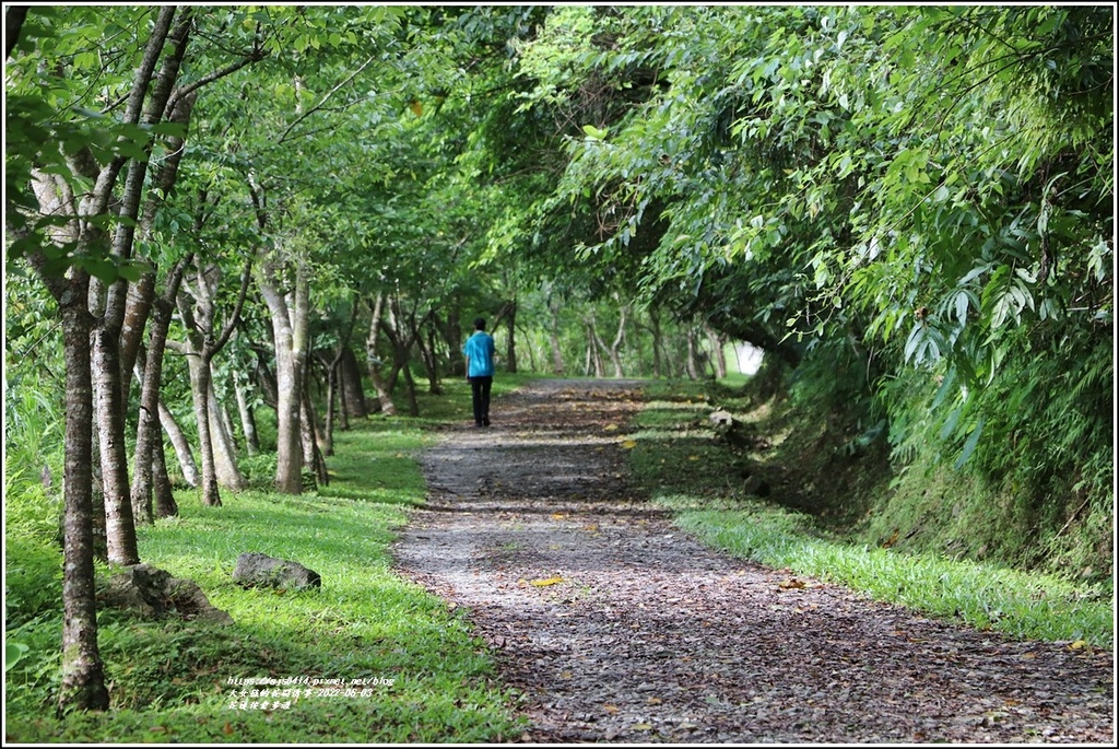 花蓮佐倉步道-2022-06-50.jpg 花蓮佐倉步道-2022-06-50.jpg