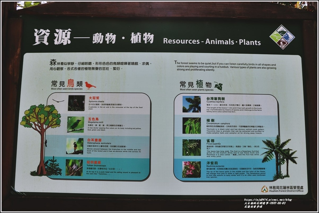 花蓮佐倉步道-2022-06-58.jpg 花蓮佐倉步道-2022-06-58.jpg