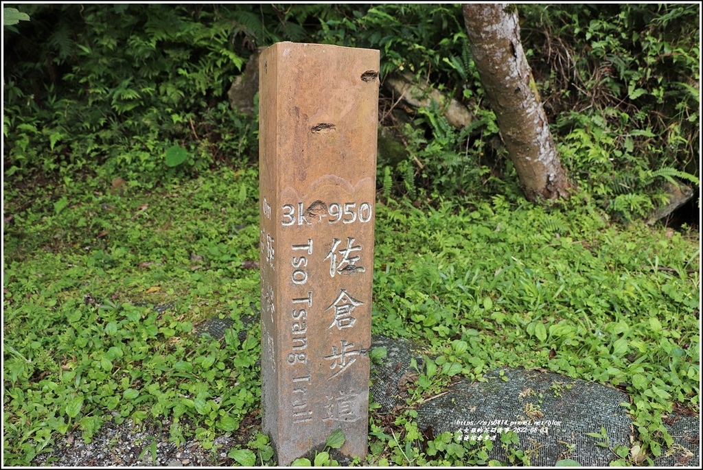 花蓮佐倉步道-2022-06-63.jpg 花蓮佐倉步道-2022-06-63.jpg
