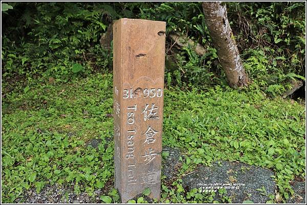 花蓮佐倉步道-2022-06-63.jpg