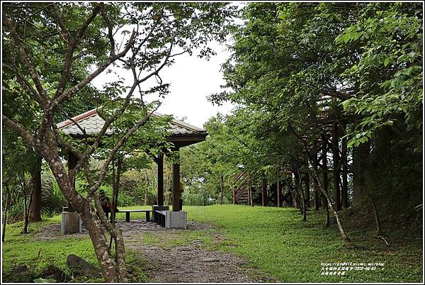 花蓮佐倉步道-2022-06-67.jpg