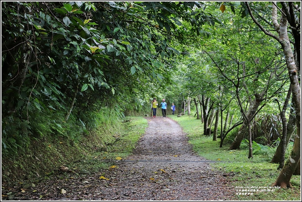 花蓮佐倉步道-2022-06-72.jpg 花蓮佐倉步道-2022-06-72.jpg