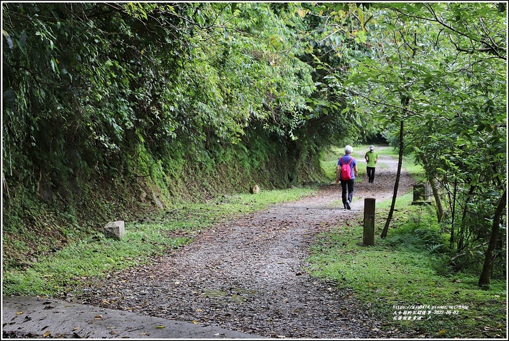 花蓮佐倉步道-2022-06-76.jpg 花蓮佐倉步道-2022-06-76.jpg