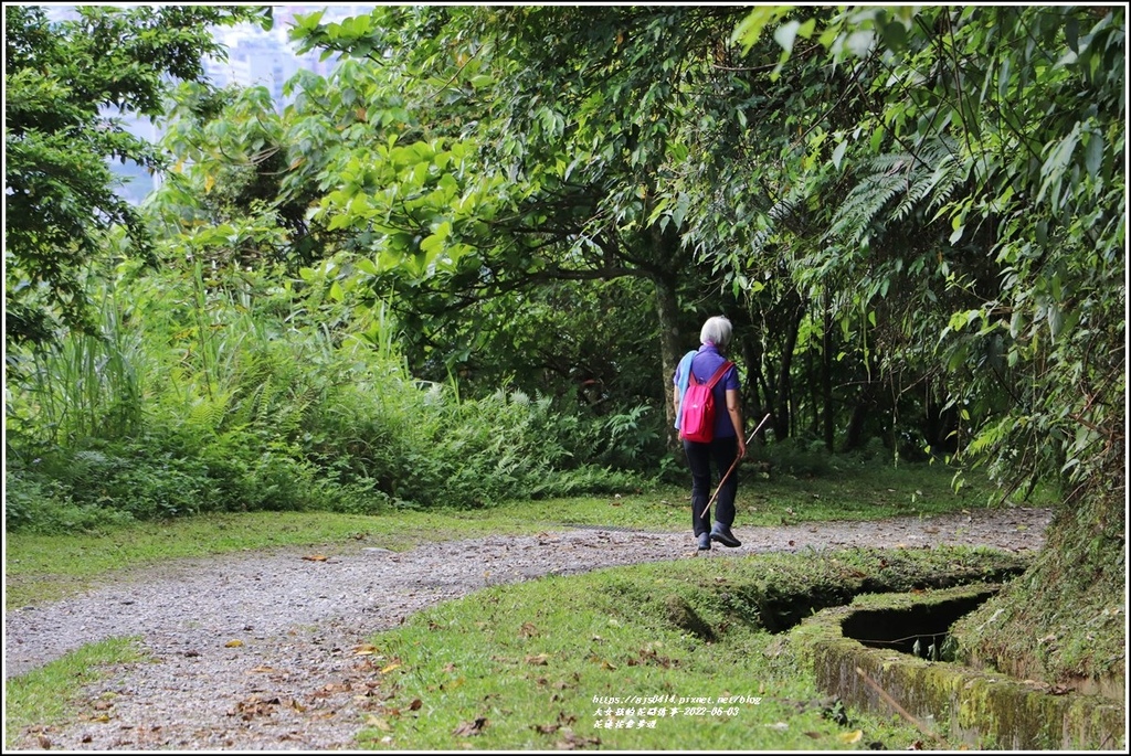 花蓮佐倉步道-2022-06-80.jpg 花蓮佐倉步道-2022-06-80.jpg