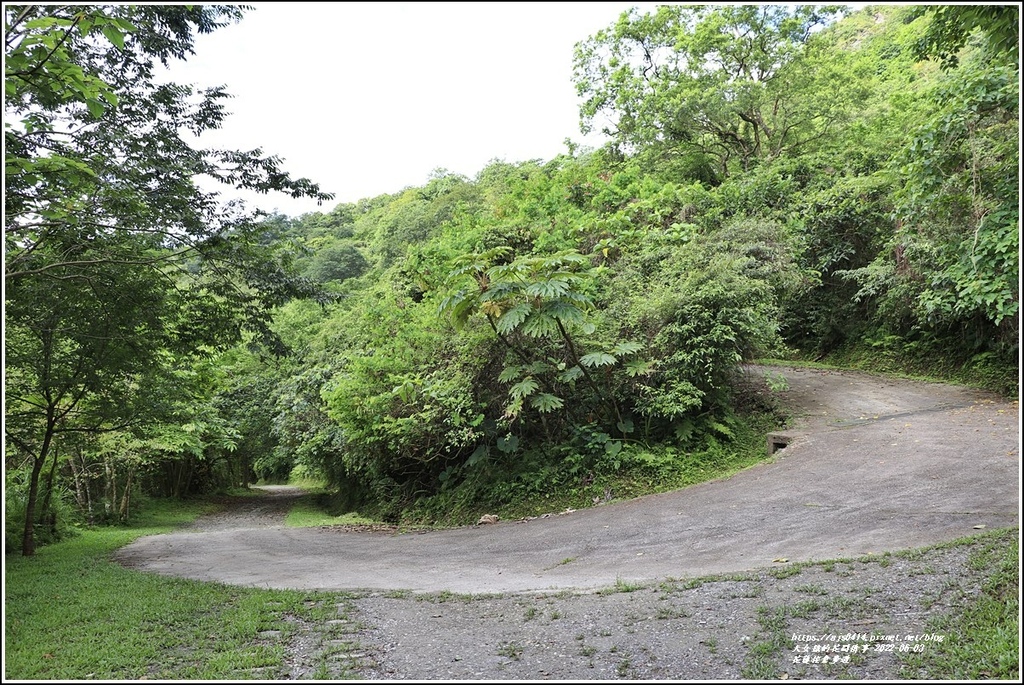 花蓮佐倉步道-2022-06-77.jpg 花蓮佐倉步道-2022-06-77.jpg