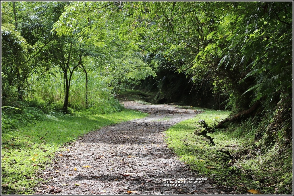 花蓮佐倉步道-2022-06-78.jpg 花蓮佐倉步道-2022-06-78.jpg