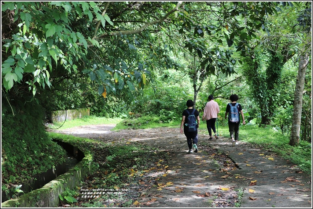 花蓮佐倉步道-2022-06-84.jpg 花蓮佐倉步道-2022-06-84.jpg