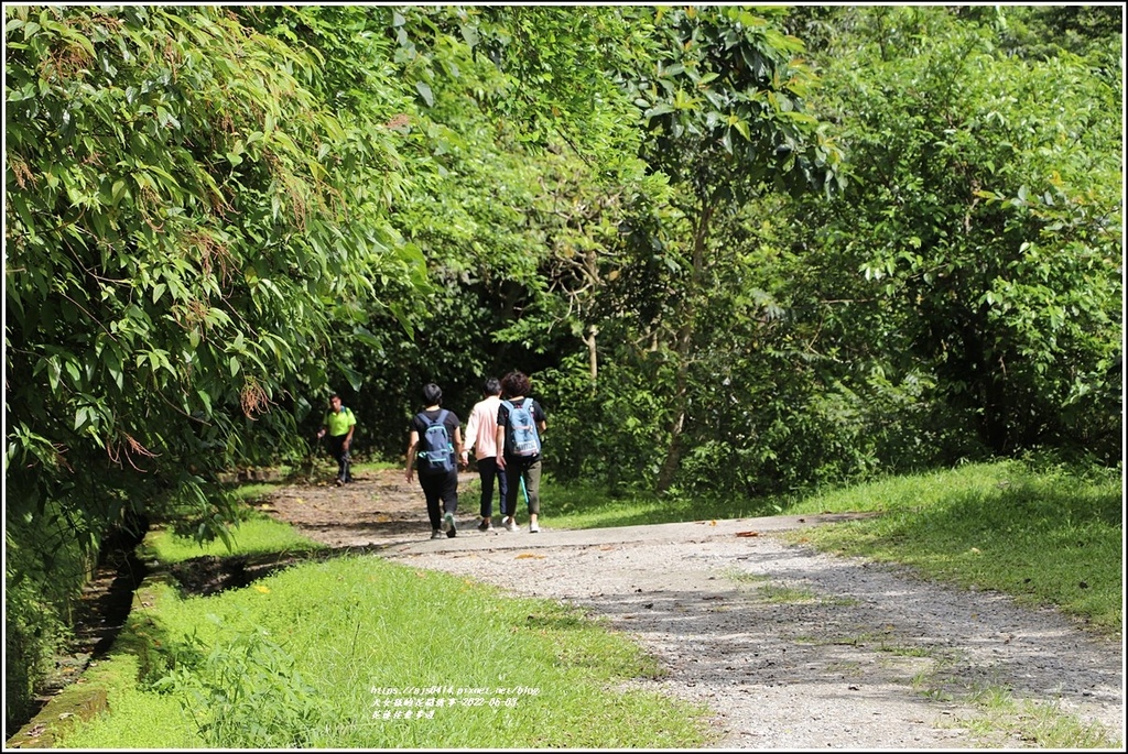 花蓮佐倉步道-2022-06-83.jpg 花蓮佐倉步道-2022-06-83.jpg