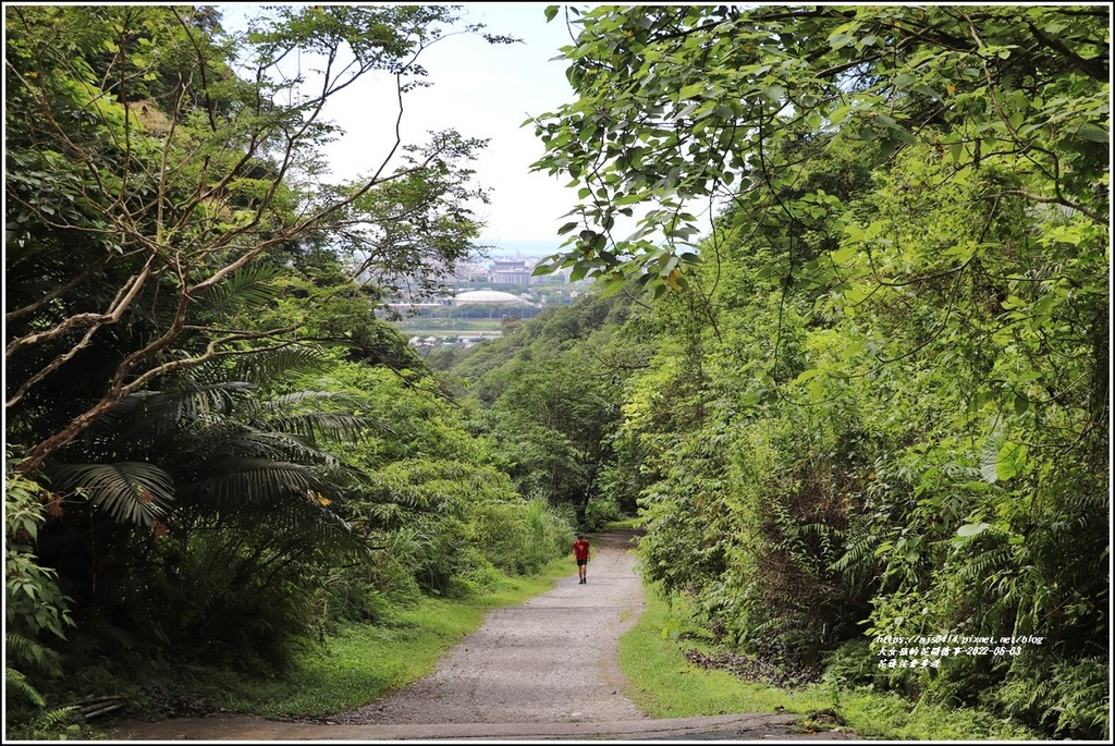 花蓮佐倉步道-2022-06-87.jpg 花蓮佐倉步道-2022-06-87.jpg