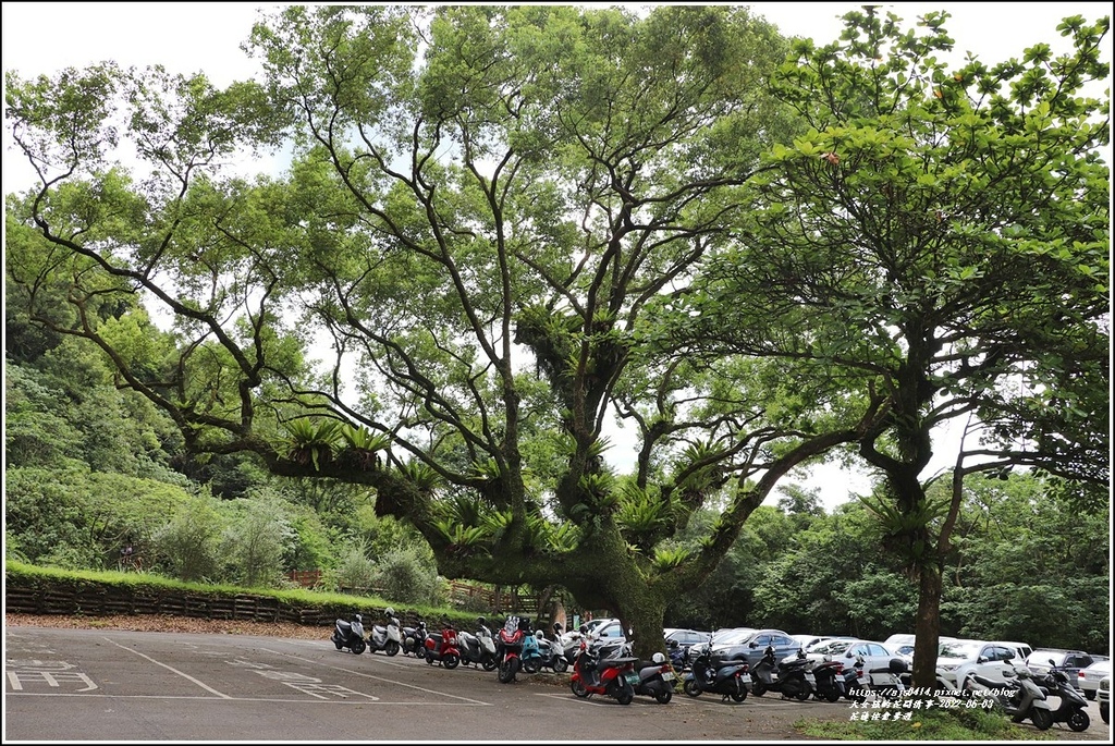 花蓮佐倉步道-2022-06-92.jpg 花蓮佐倉步道-2022-06-92.jpg