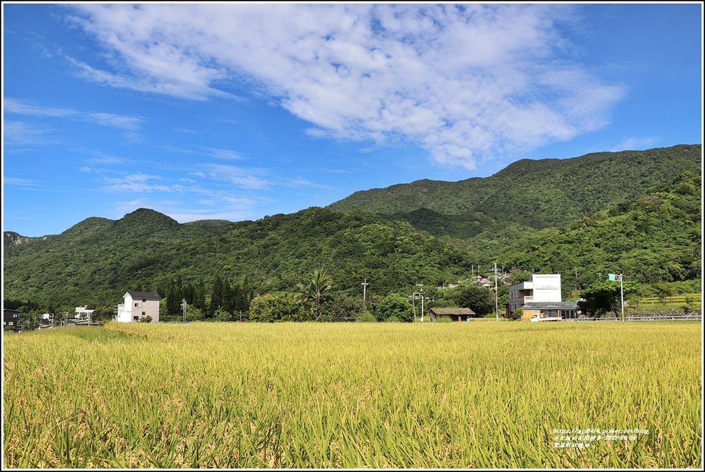 豐濱新社梯田-2022-06-08.jpg