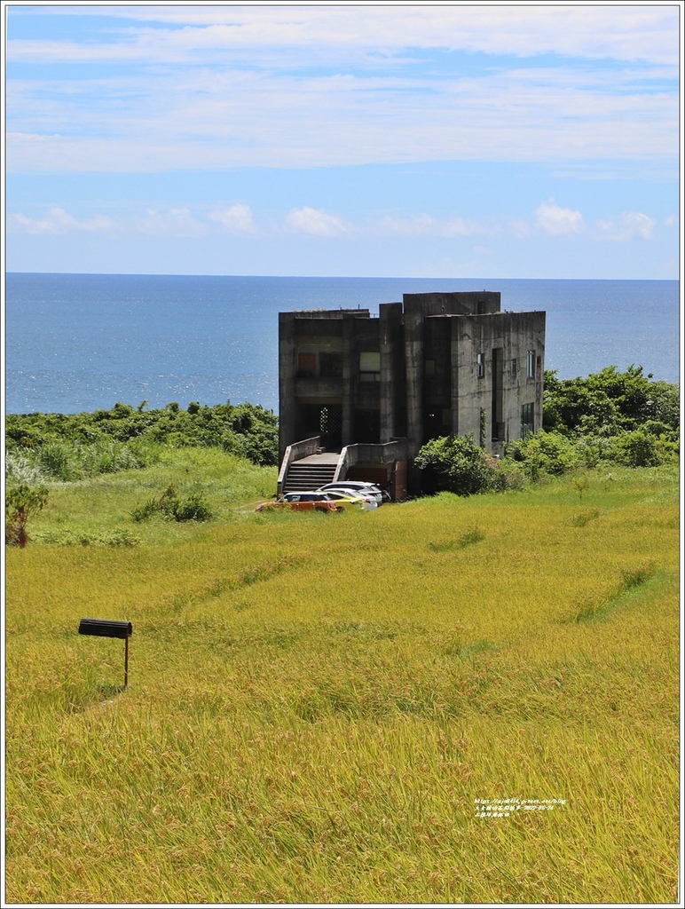 石梯坪海稻田-2022-06-03.jpg