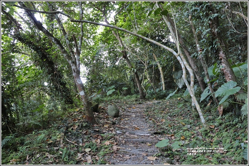 米棧古道-2022-07-06.jpg 米棧古道-2022-07-06.jpg