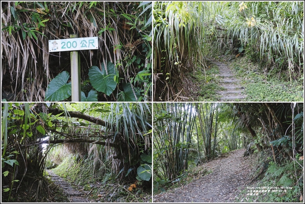 米棧古道-2022-07-07.jpg 米棧古道-2022-07-07.jpg