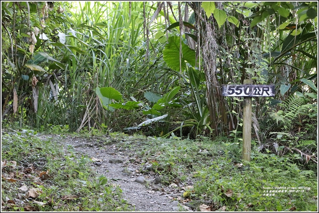 米棧古道-2022-07-15.jpg