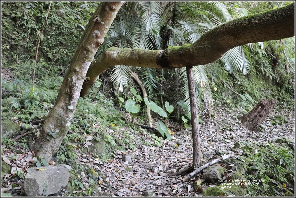 米棧古道-2022-07-23.jpg 米棧古道-2022-07-23.jpg