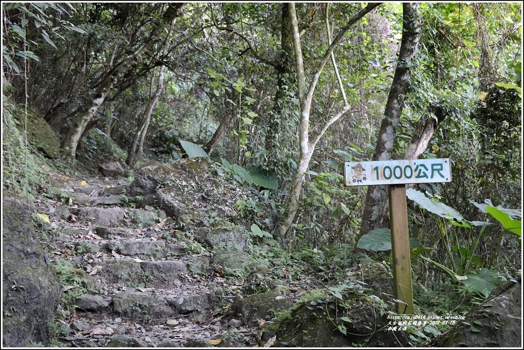 米棧古道-2022-07-24.jpg 米棧古道-2022-07-24.jpg